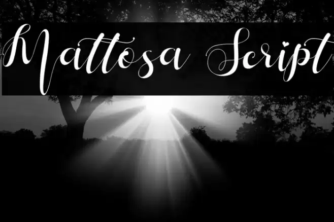 Mattosa Script Font examples