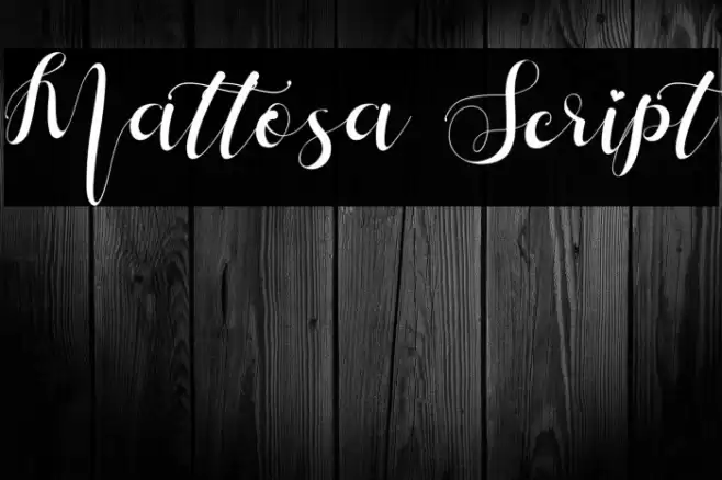 Mattosa Script Font examples
