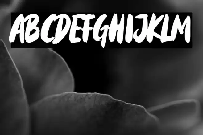 Mattsolar Font examples