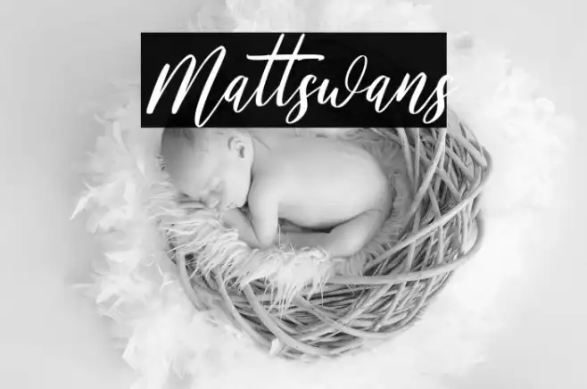 Mattswans Example 1