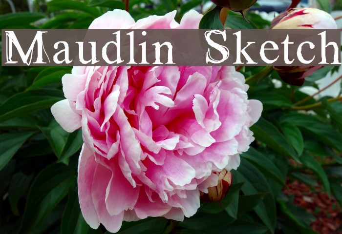 Maudlin Sketch Font examples