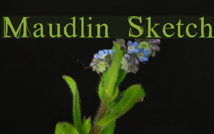 Maudlin Sketch Font examples