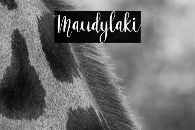 Maudylaki Font examples