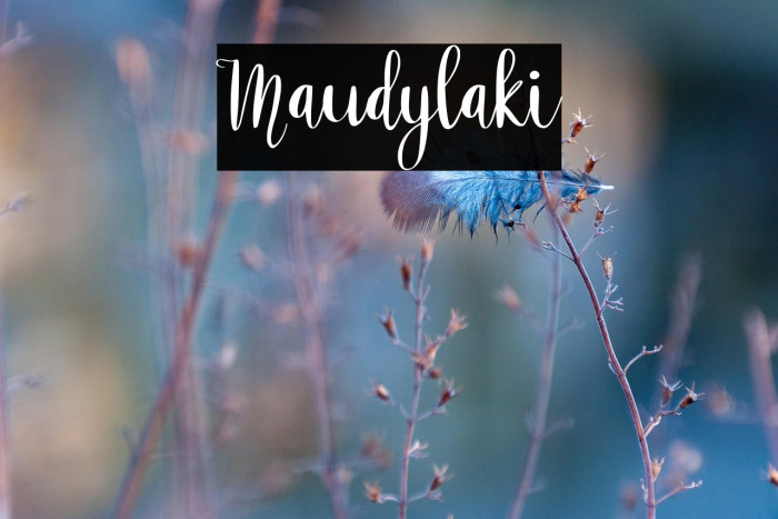 Maudylaki Example 3