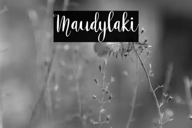 Maudylaki Font examples