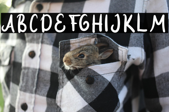 Maula Beloved Example 3