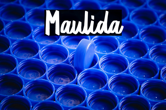 Maulida Example 3