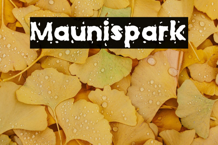 Maunispark Example 2