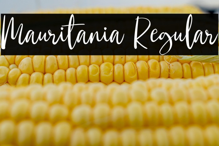 Mauritania Regular Example 1