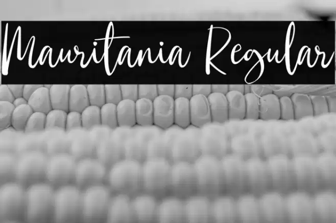 Mauritania Regular Font examples