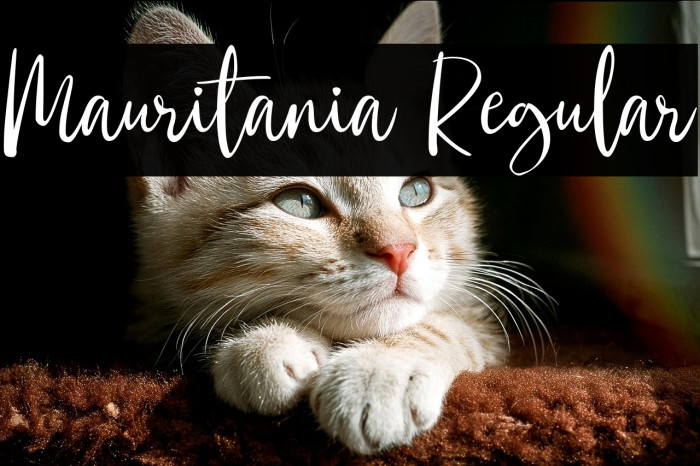 Mauritania Regular Example 2