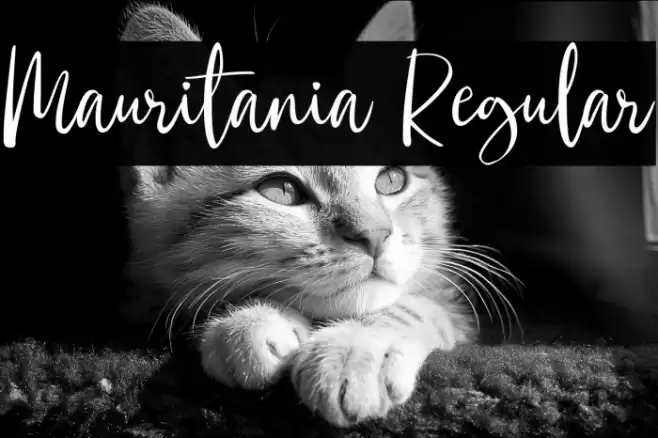 Mauritania Regular Font examples