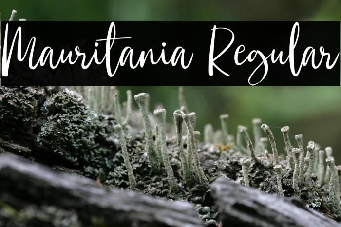 Mauritania Regular Example 3