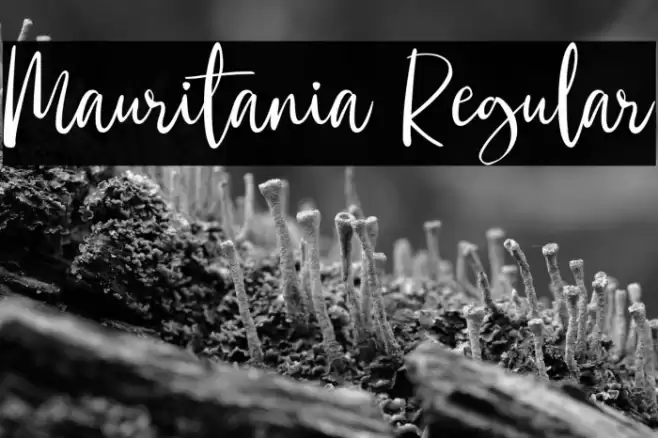 Mauritania Regular Font examples