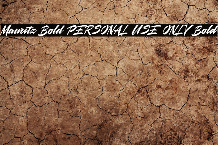 Mauritz Bold PERSONAL USE ONLY Bold Example 3