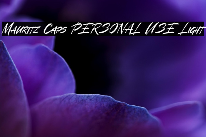 Mauritz Caps PERSONAL USE Light Example 1