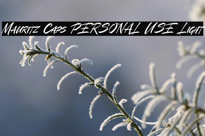 Mauritz Caps PERSONAL USE Light Example 2