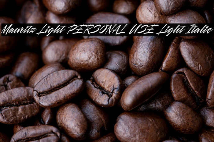 Mauritz Light PERSONAL USE Light Italic Example 1