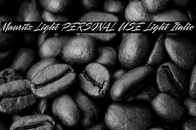 Mauritz Light PERSONAL USE Light Italic Font examples