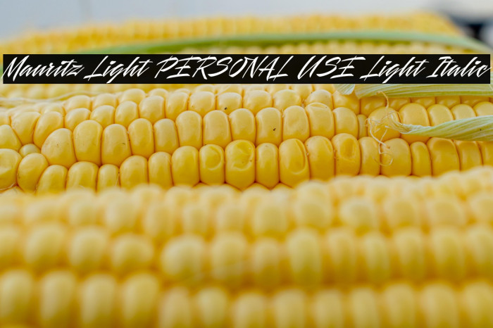 Mauritz Light PERSONAL USE Light Italic Example 2