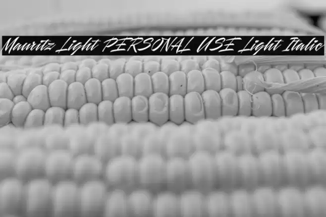 Mauritz Light PERSONAL USE Light Italic Font examples