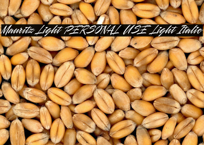 Mauritz Light PERSONAL USE Light Italic Example 3