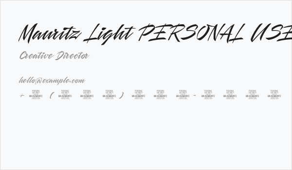 Mauritz Light PERSONAL USE Light Business Card