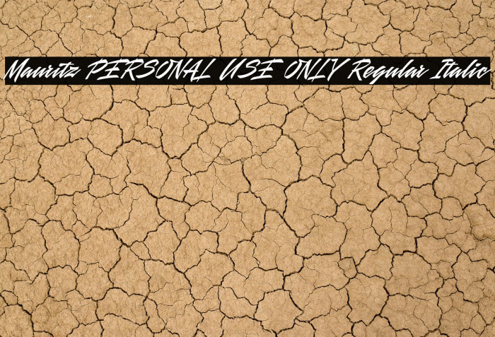 Mauritz PERSONAL USE ONLY Regular Italic Example 1