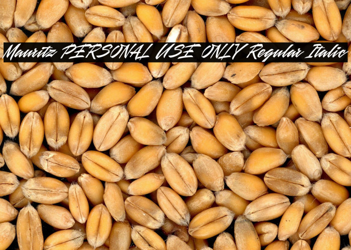 Mauritz PERSONAL USE ONLY Regular Italic Example 3