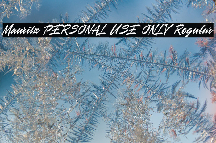 Mauritz PERSONAL USE ONLY Regular Example 1