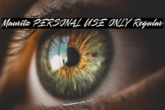 Mauritz PERSONAL USE ONLY Regular Example 3