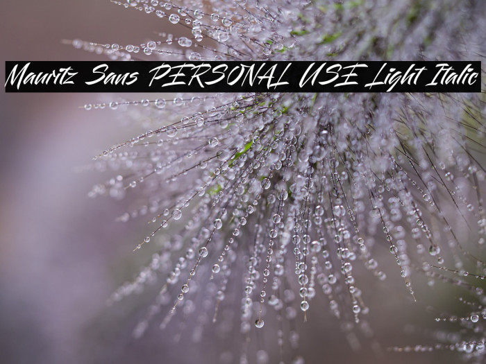 Mauritz Sans PERSONAL USE Light Italic Example 1