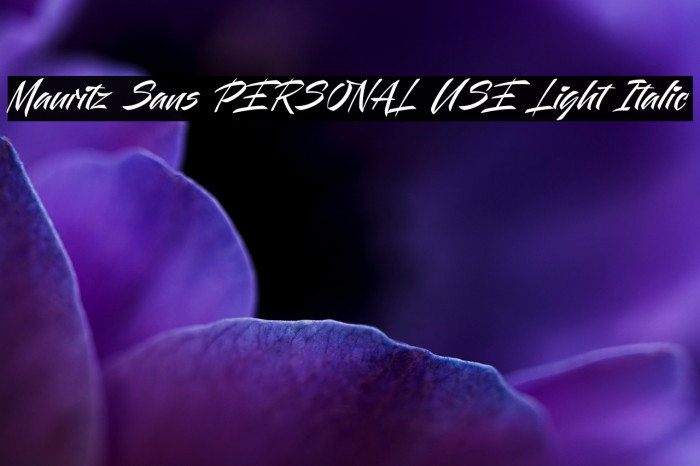 Mauritz Sans PERSONAL USE Light Italic Example 3