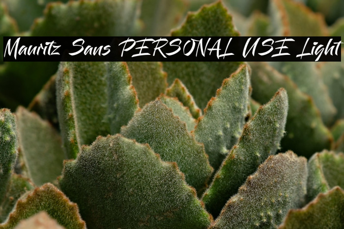 Mauritz Sans PERSONAL USE Light Example 1