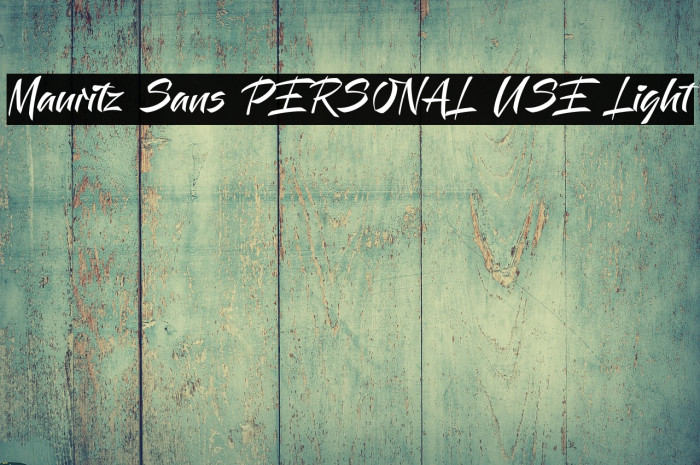 Mauritz Sans PERSONAL USE Light Example 2