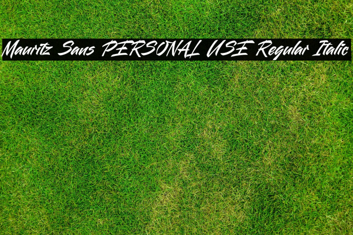 Mauritz Sans PERSONAL USE Regular Italic Example 3