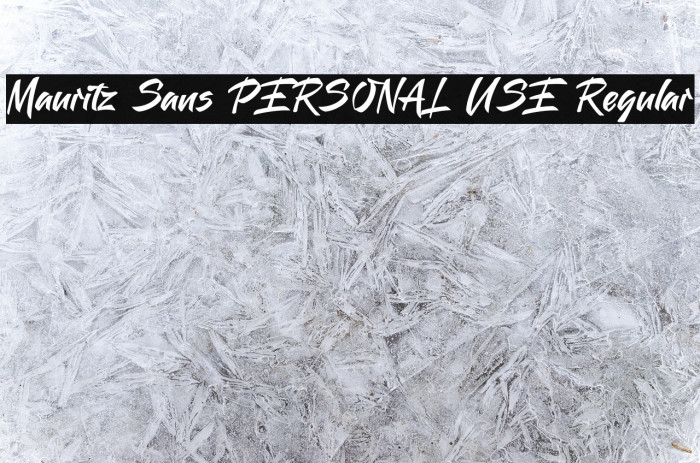 Mauritz Sans PERSONAL USE Regular Example 3