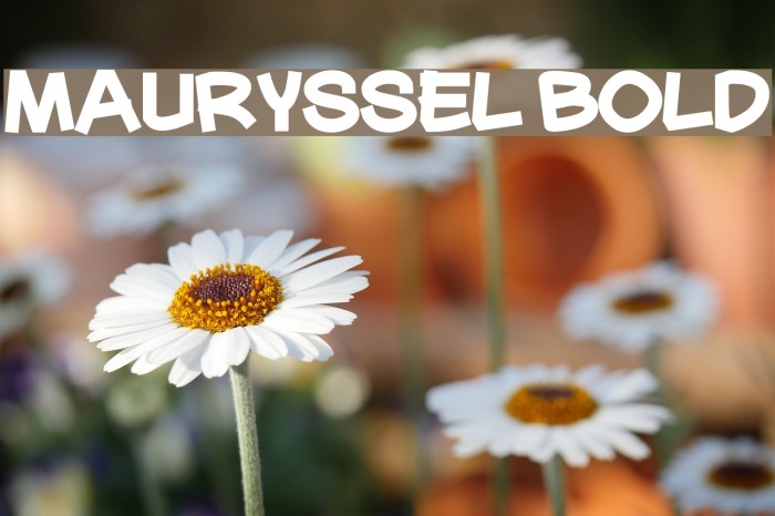 Mauryssel Bold Font examples