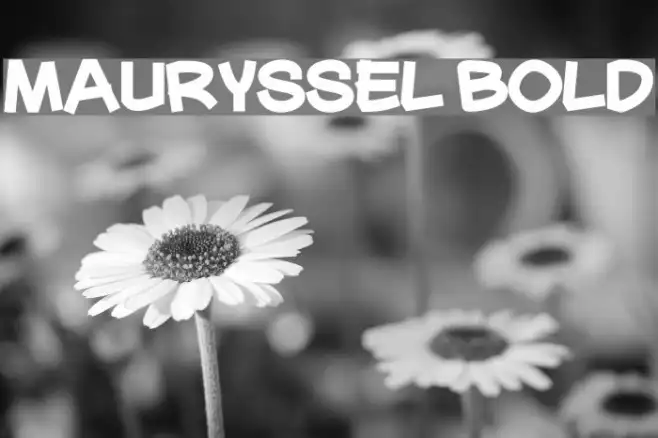 Mauryssel Bold Example 3