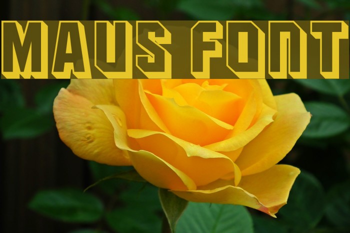 Maus Fonte examples