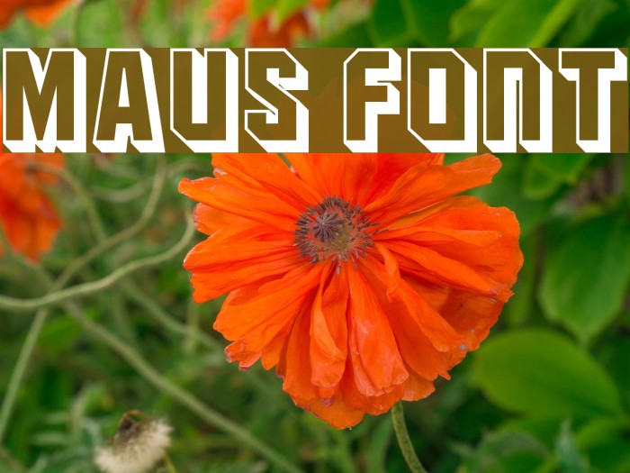 Maus Fonte examples