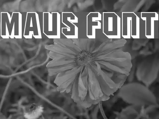 Maus Fonte examples