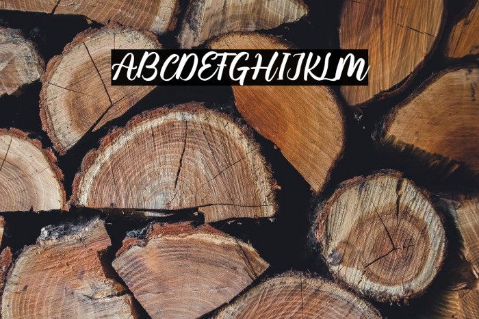 Mauty Elena Example 1