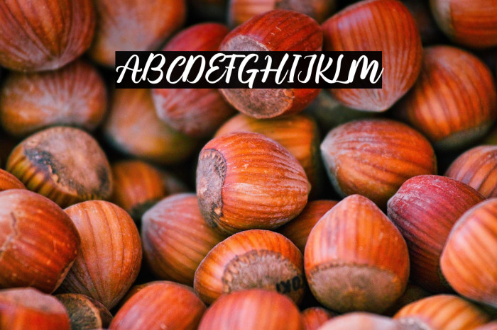 Mauty Elena Example 2