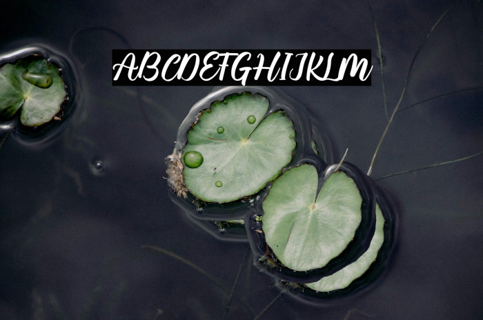 Mauty Elena Example 3