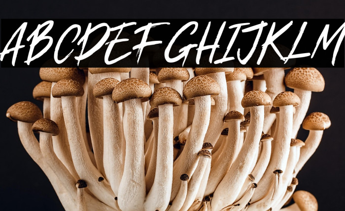 Mauve Smile Example 1