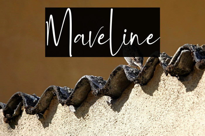 Maveline Example 2
