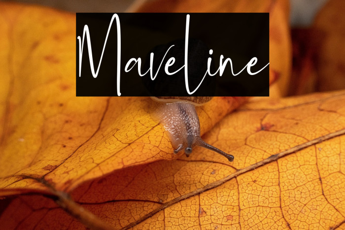 Maveline Example 3