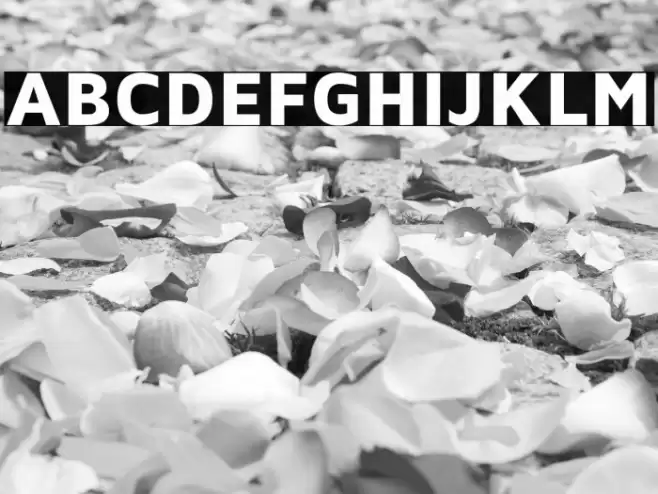 Maven Pro Black Font examples