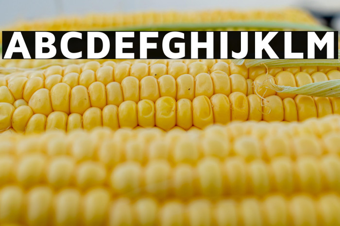 Maven Pro Black Example 3